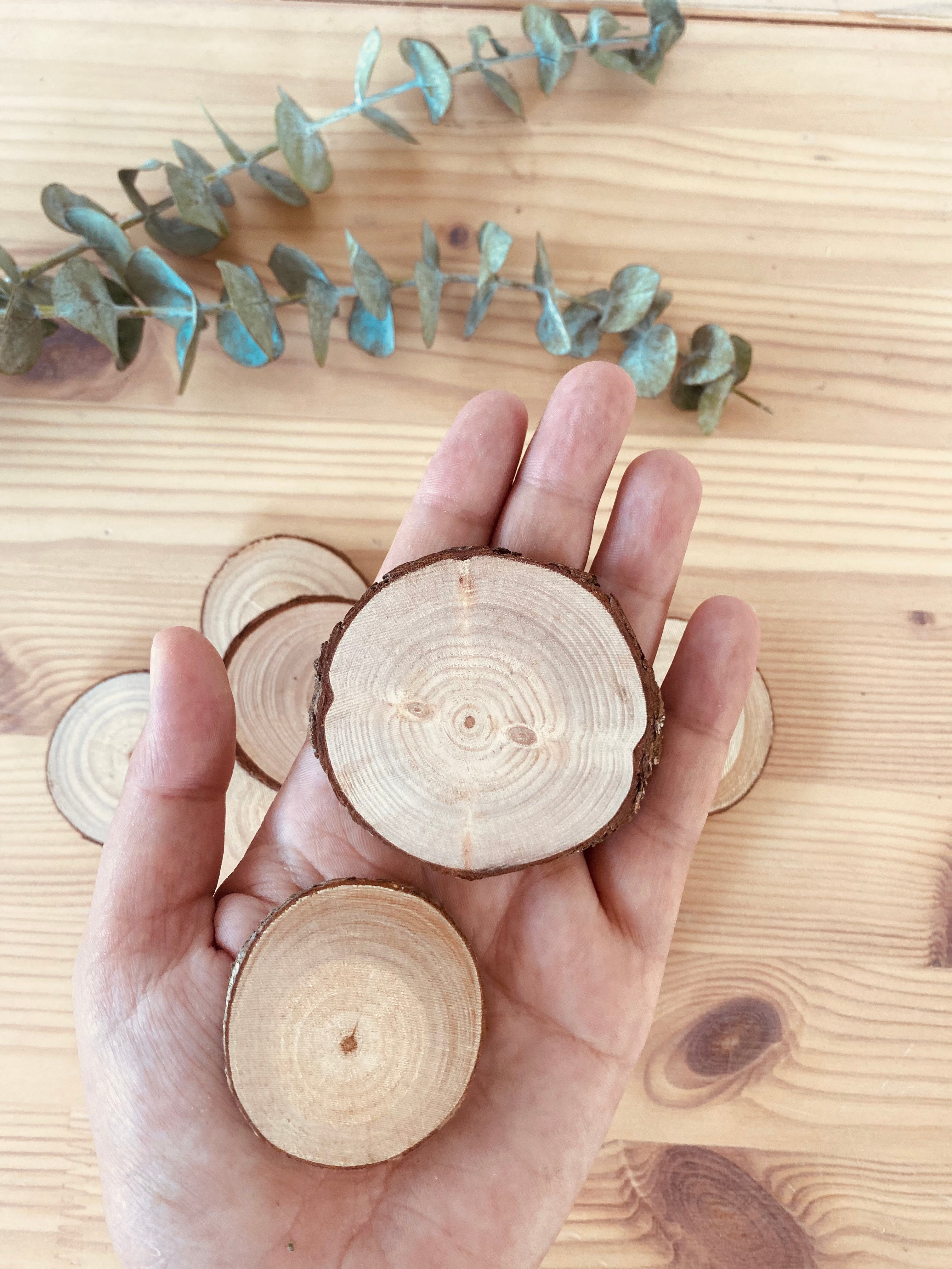 Small wood slices, set of 10