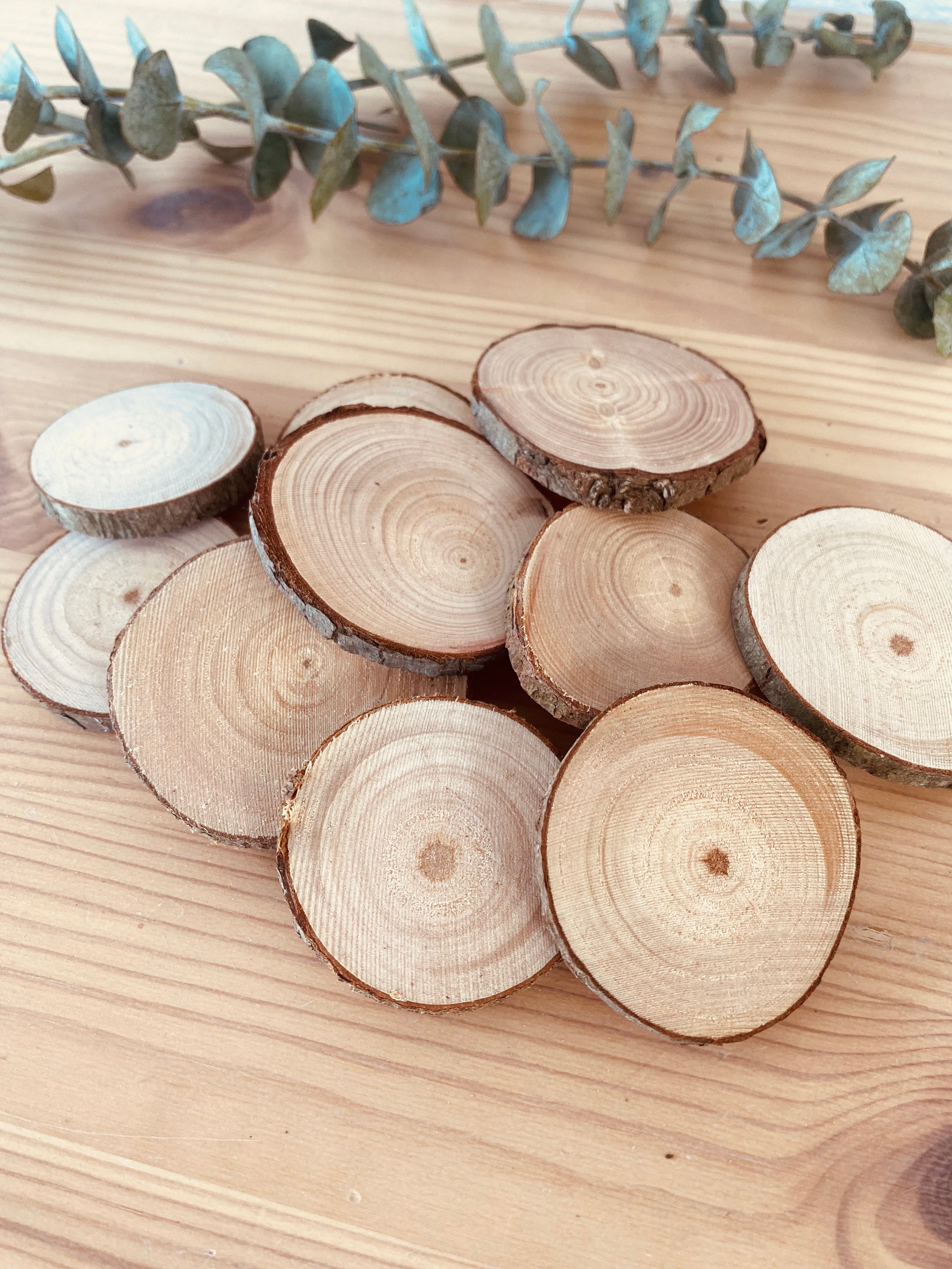 Small wood slices, set of 10